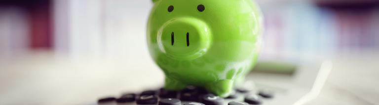 lourds d'argent piggy bank