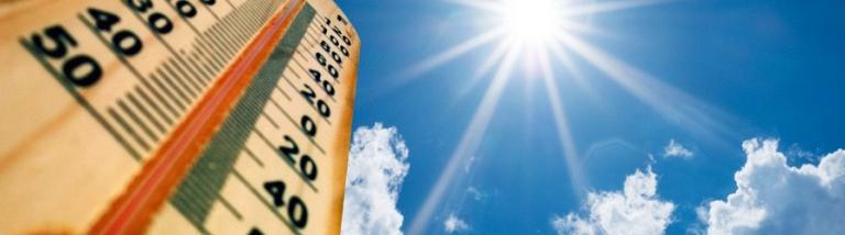 Travailler comme aide ménagère par temps chaud 