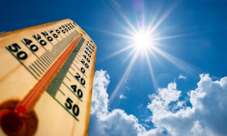 Travailler comme aide ménagère par temps chaud 